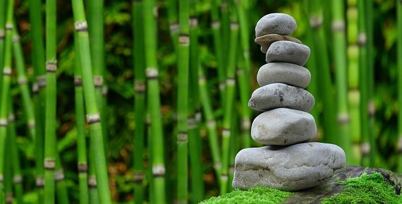 jardines japoneses presupuesto