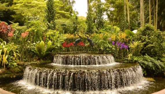 jardines sensoriales de agua