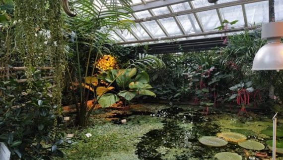 jardin botanico alemania