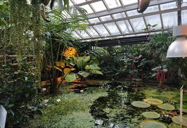 jardin botanico alemania