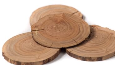 Dendrocronologia o los anillos de los arboles