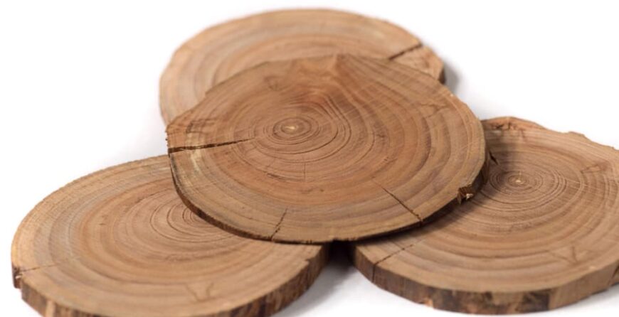 Dendrocronologia o los anillos de los arboles